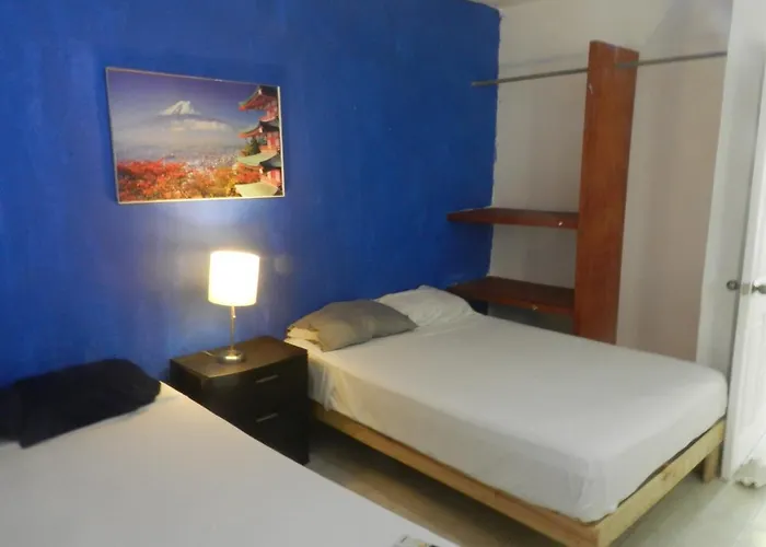 Xabadava Playa D Carmen 15th Avenida Appart hôtel Playa del Carmen